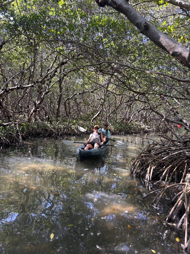 kayaking in florida