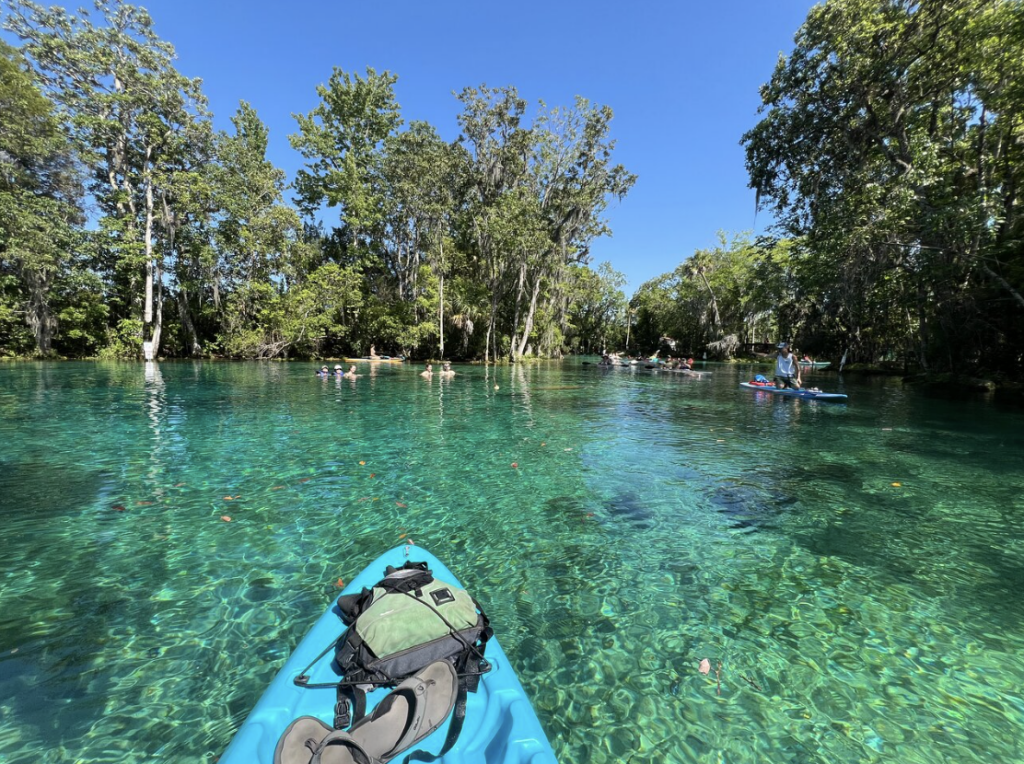 crystal river clear kayak tour